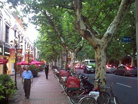 Bars and Restaurants on Hengshan Road in the Former French Concession of Shanghai