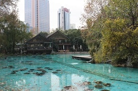 Jing'an Park is located in the middle of Jing'an business area